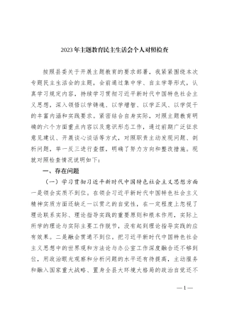 2023年主题教育民主生活会个人对照检查材料（践行宗旨等6个方面）（5）