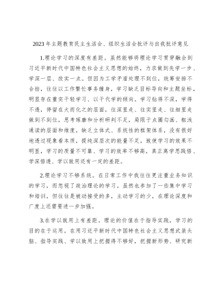 2023年主题教育生活会批评与自我批评意见20条 (2)