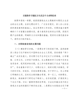 2023年主题教育专题民主生活会个人对照检查3200字