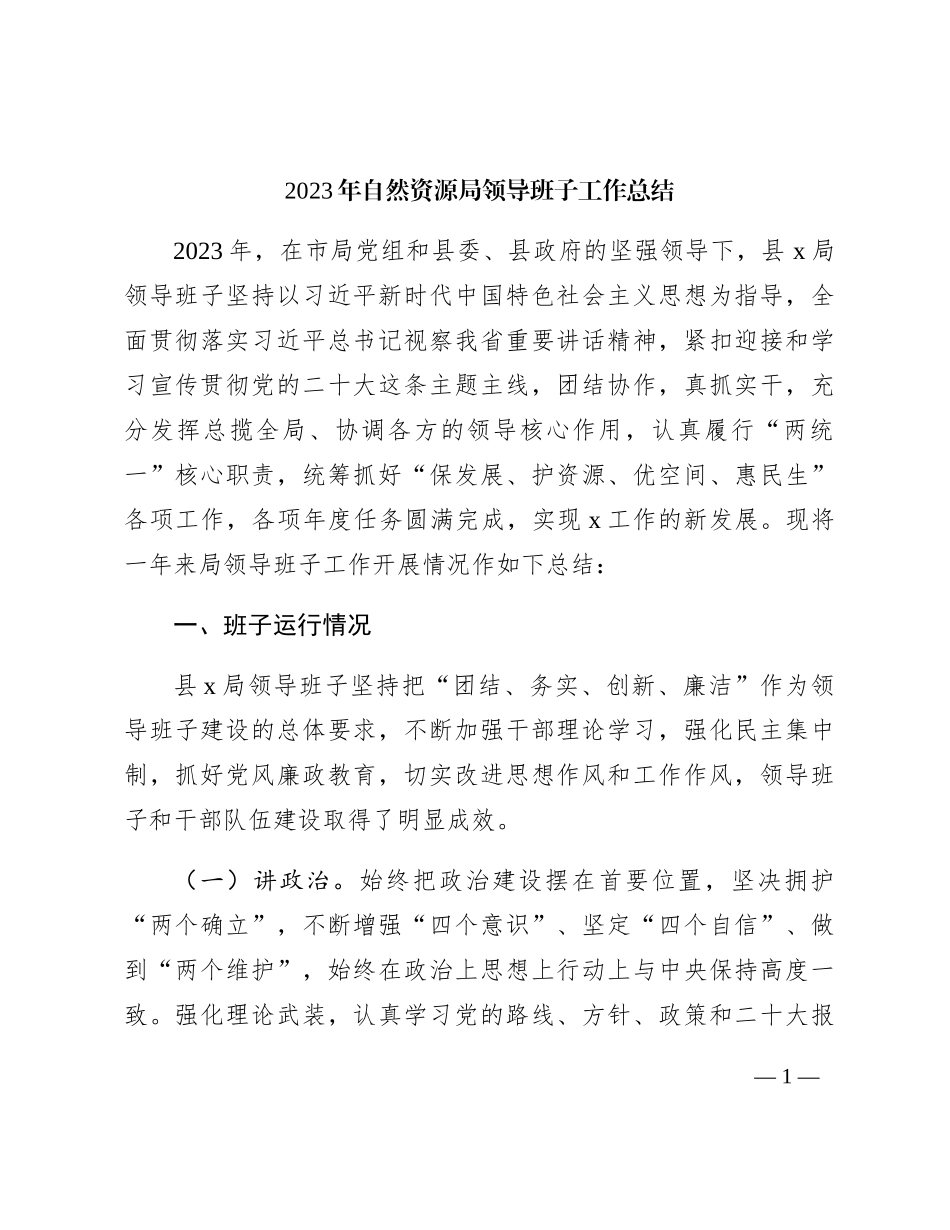 2023年自然资源局领导班子工作总结_第1页