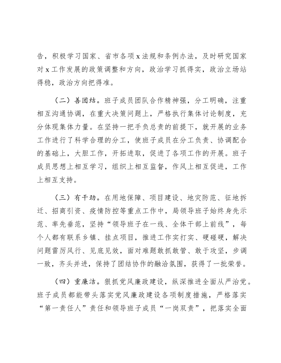 2023年自然资源局领导班子工作总结_第2页