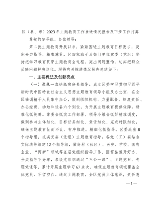 区（县、市）2023年主题教育工作推进情况报告及下步工作打算(1)