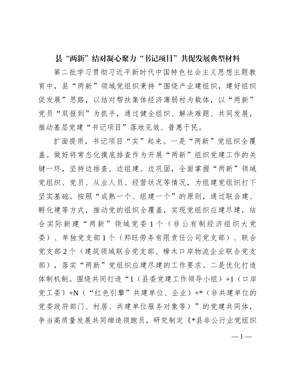 县“两新”结对凝心聚力“书记项目”共促发展典型材料_第1页