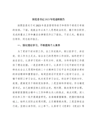 乡镇书记2023年度述职报告3000字