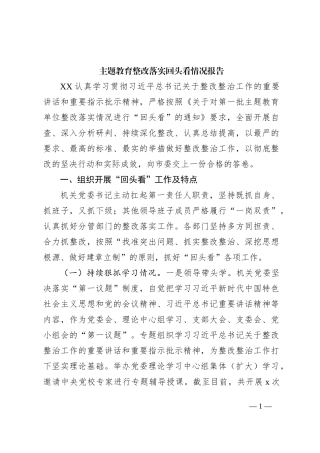 主题教育整改落实回头看工作报告（2300字总结）