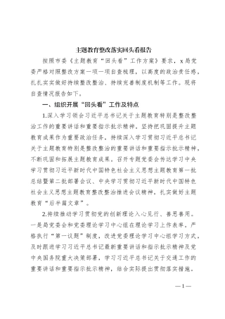 主题教育整改落实回头看工作报告（3700字总结）