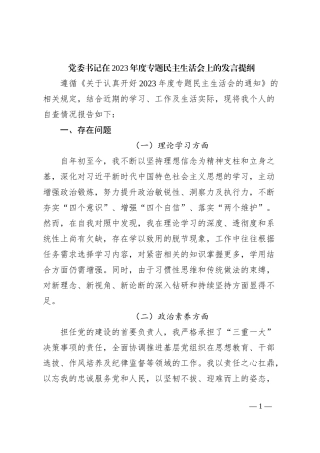 党委书记在2023年度专题民主生活会上的发言提纲