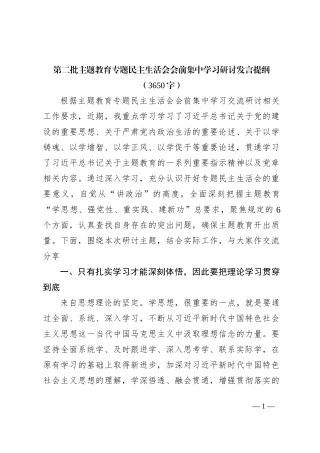 （会前）第二批主题教育专题民主生活会会前集中学习研讨发言提纲