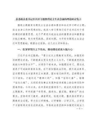 （会前）政法委书记在主题教育专题民主生活会前的理论研讨发言