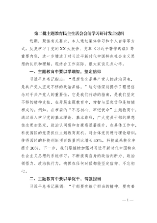 第二批主题教育民主生活会会前学习研讨发言提纲 (10)