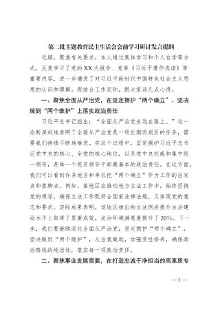 第二批主题教育民主生活会会前学习研讨发言提纲 (11)