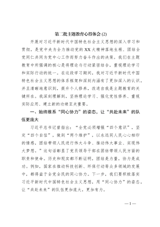 第二批主题教育心得体会 (2)【优】