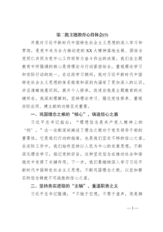 第二批主题教育心得体会 (9)【优】