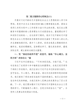 第二批主题教育心得体会 (11)【优】