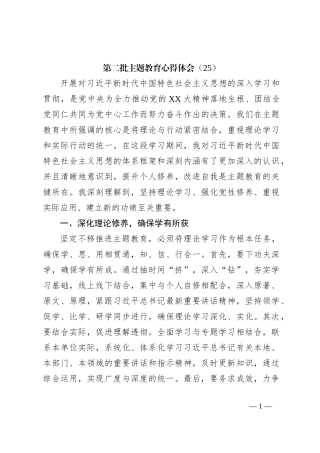 第二批主题教育心得体会（25）