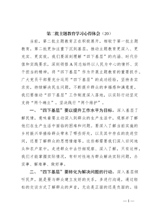 第二批主题教育学习心得体会（20）