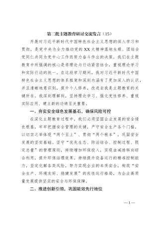 第二批主题教育研讨交流发言（15）