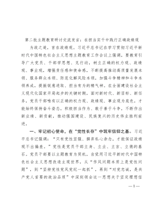 第二批主题教育研讨交流发言：在担当实干中践行正确政绩观【优】