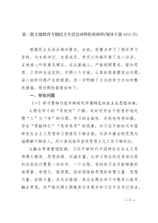 第二批主题教育专题民主生活会对照检查材料(新)