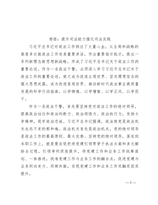 感悟：提升司法能力   强化司法实践