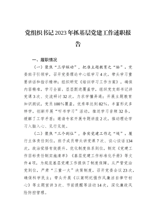 党组织书记2023年抓基层党建工作述职报告
