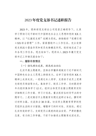 2023年度党支部书记述职报告