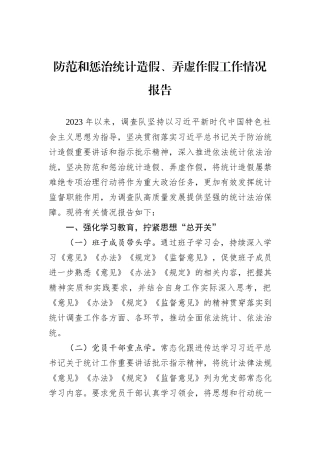 防范和惩治统计造假、弄虚作假工作情况报告