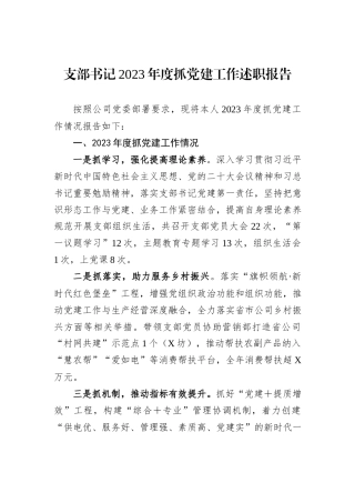 支部书记2023年度抓党建工作述职报告
