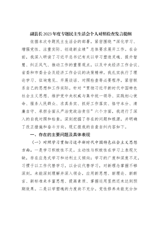 副县长2023年度专题民主生活会个人对照检查发言提纲