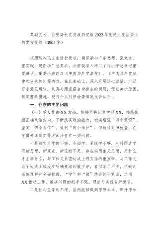 公安局2023年主题教育民主生活会个人对照检查材料（践行宗旨等6个方面）