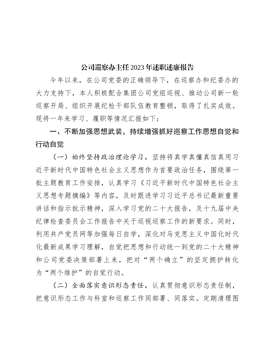 公司巡察办主任2023年述职述廉报告_第1页