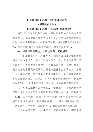 国企公司党委2023年党组织述职报告（党建融合总结）