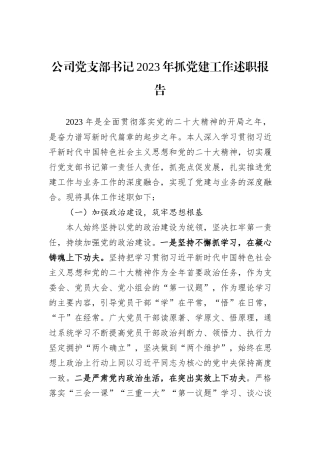 公司党支部书记2023年抓党建工作述职报告