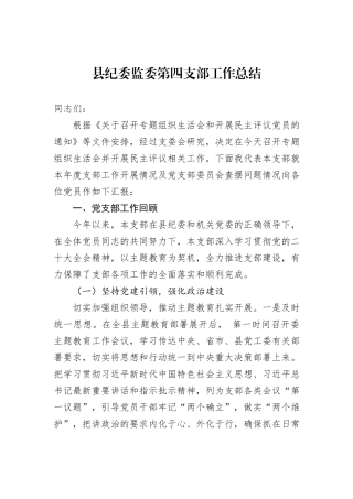 县纪委监委第四支部工作总结