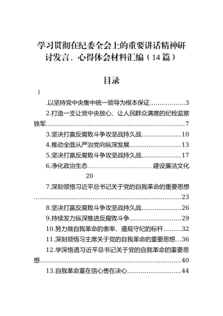 学习贯彻在纪委全会上的重要讲话精神研讨发言、心得体会材料汇编（14篇）