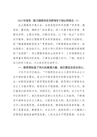 2023年度第二批主题教育读书班领导干部心得体会（2）