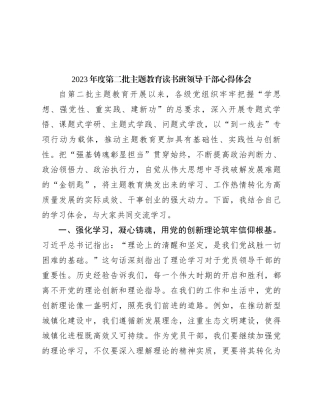 2023年度第二批主题教育读书班领导干部心得体会