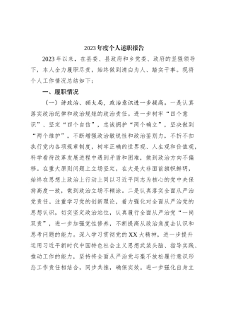 2023年度个人述职报告 (3)