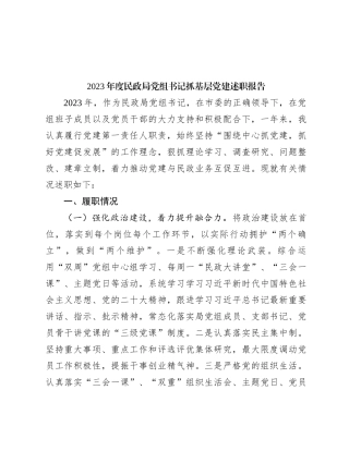 2023年度民政局党组书记抓基层党建述职报告