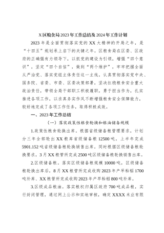 X区粮食局2023年工作总结及2024年工作计划