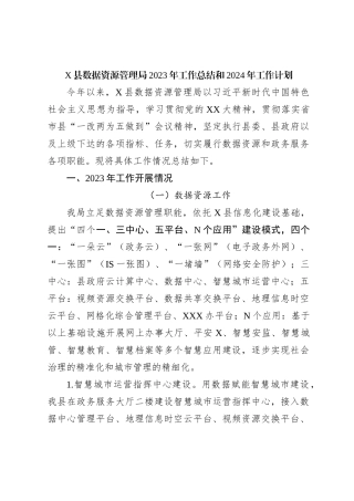 X县数据资源管理局2023年工作总结和2024年工作计划