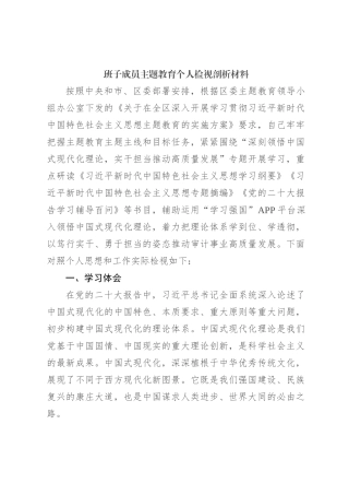 班子成员主题教育个人检视剖析材料