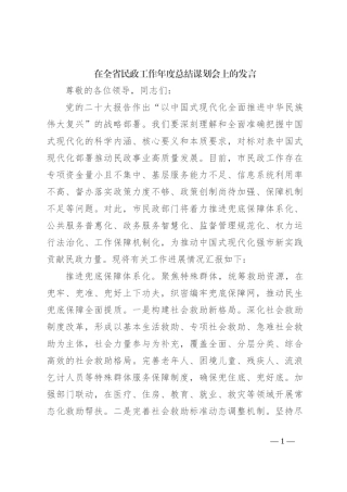 在全省民政工作年度总结谋划会上的发言