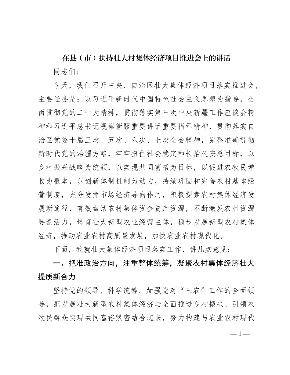 在县（市）扶持壮大村集体经济项目推进会上的讲话_第1页