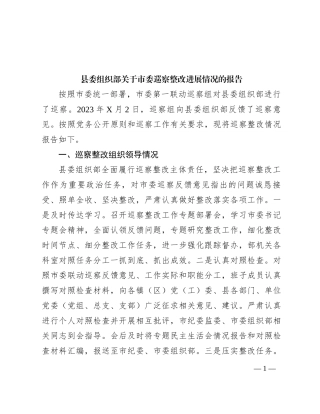 县委组织部关于市委巡察整改进展情况的报告