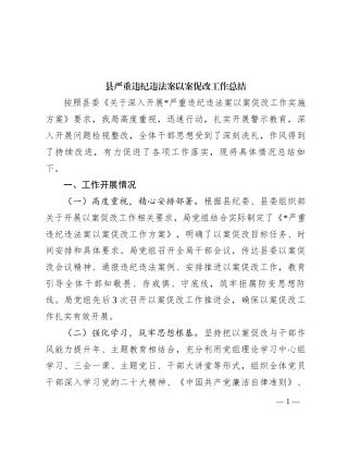 县严重违纪违法案以案促改工作总结