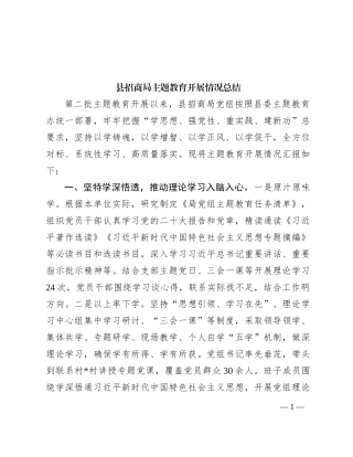 县招商局主题教育开展情况总结
