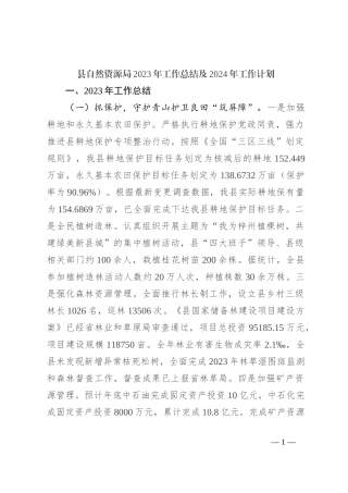 县自然资源局2023年工作总结及2024年工作计划