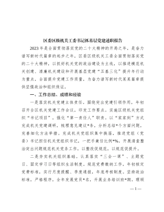 区委区级机关工委书记抓基层党建述职报告