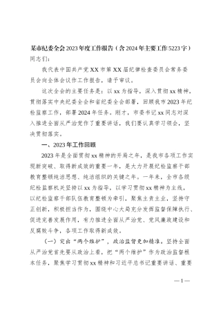 市纪委全会2023年度工作报告